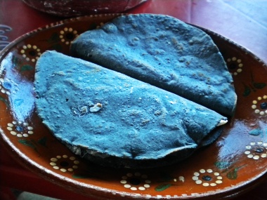 tortilla azul